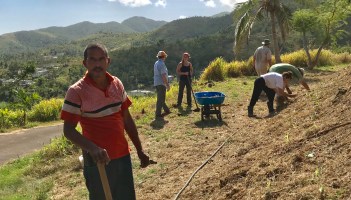 Planting seeds in Puerto Rico
