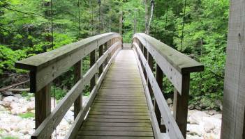 Path in the woods -- wooden bridge