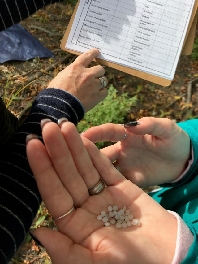 Resin pellets in a hand