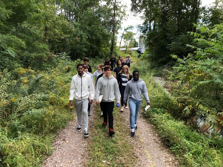 Walking in the urban wilds